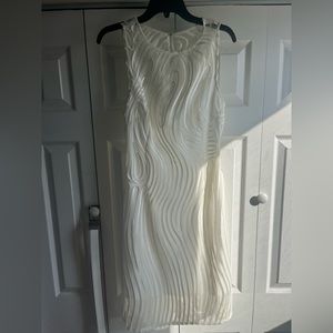 Adrianna Papell Ivory Dress
